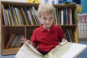 Little boy reading picture book